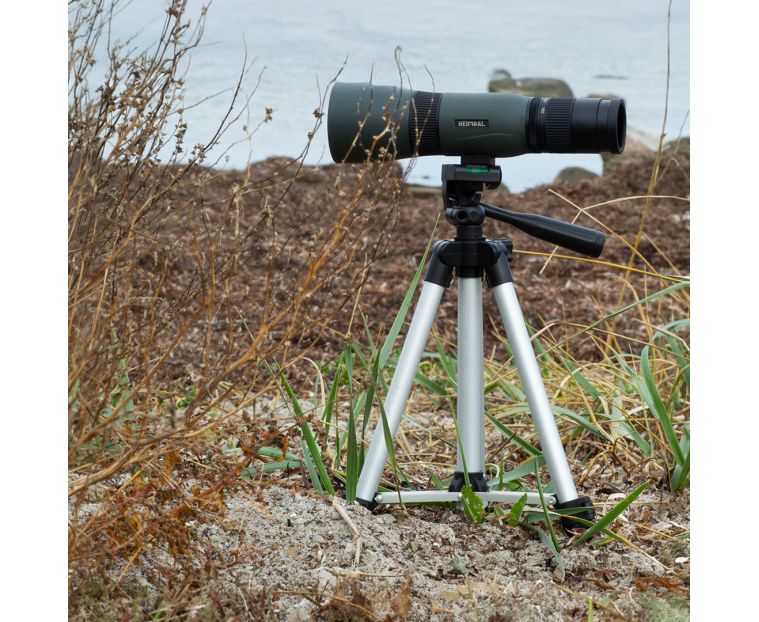 Heimdal Compact Spotting Scope 11-33 x 56 4
